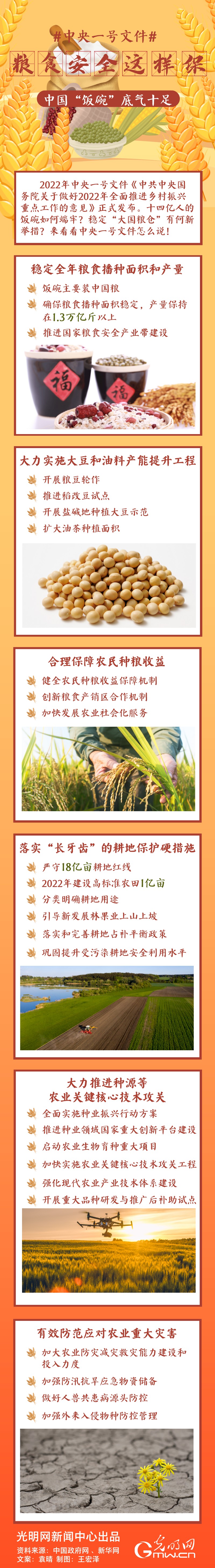 中央一號文件｜糧食安全這樣保，中國“飯碗”底氣十足