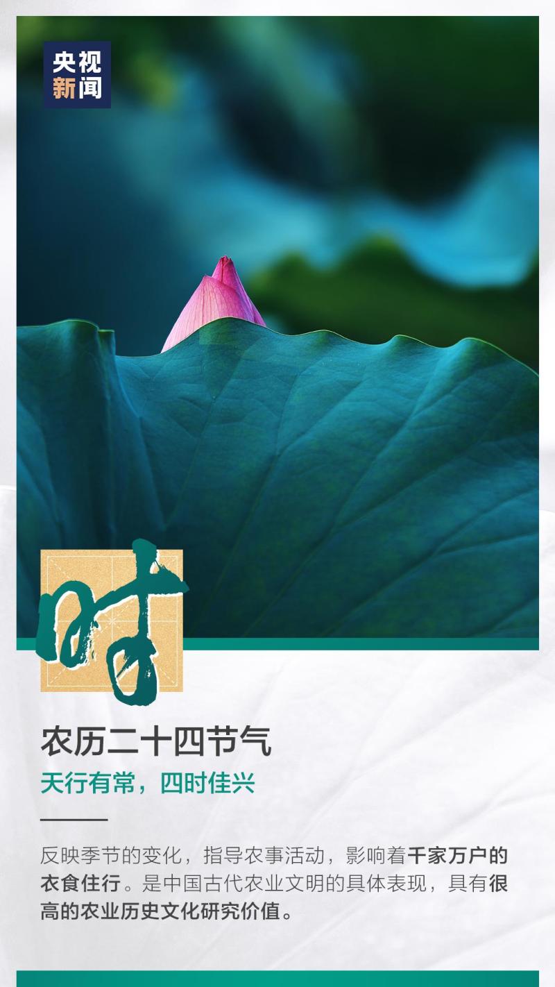 這也太浪漫了吧！