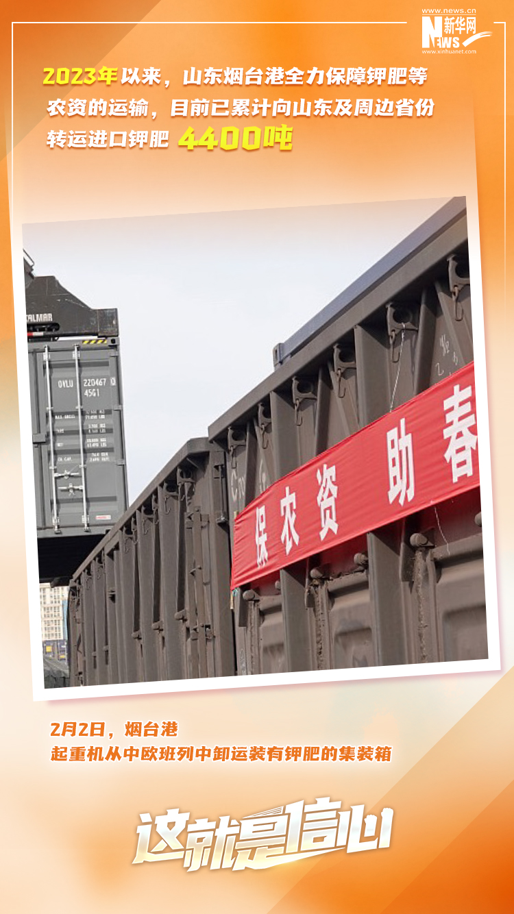 這就是信心｜實(shí)干爭春早，外貿(mào)樞紐貨運(yùn)忙