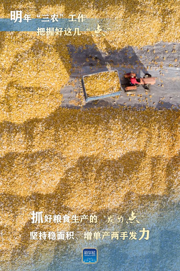 明年“三農”工作，這幾個“點”要把握好