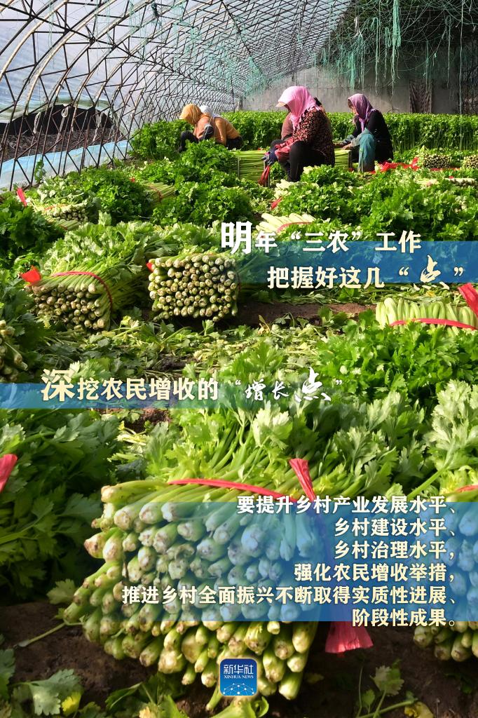 明年“三農”工作，這幾個“點”要把握好