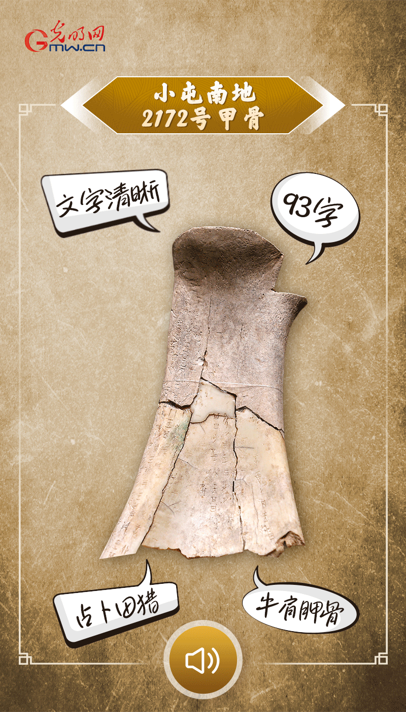 文物會說話 | 殷墟博物館新館開館啦，帶你奔赴“千年之約”