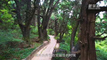 習近平講述的故事|青蒼簇擁越千年