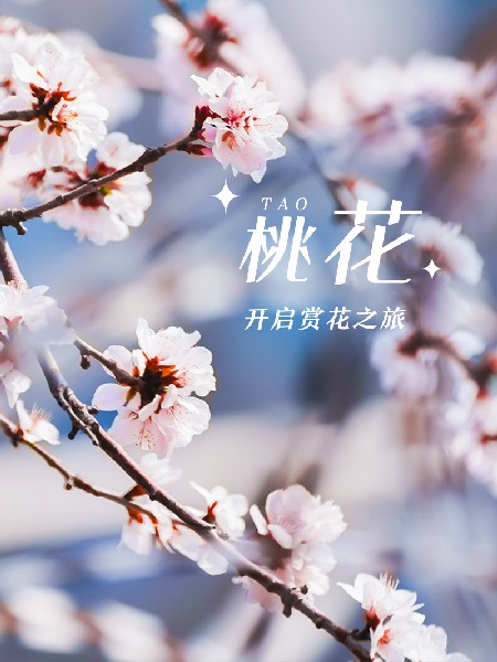 追花指南第三期！別等了 今天就去和桃花撞個(gè)滿懷