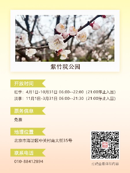 追花指南第六期！杏花雨 楊柳風 北京最美的杏花在這里