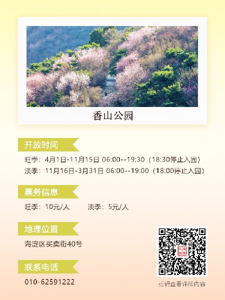 追花指南第六期！杏花雨 楊柳風 北京最美的杏花在這里