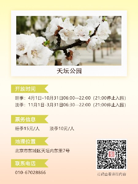 追花指南第六期！杏花雨 楊柳風 北京最美的杏花在這里