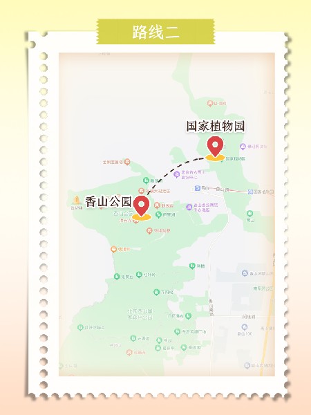 追花指南第六期！杏花雨 楊柳風 北京最美的杏花在這里