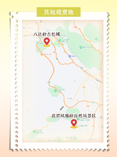 追花指南第六期！杏花雨 楊柳風 北京最美的杏花在這里