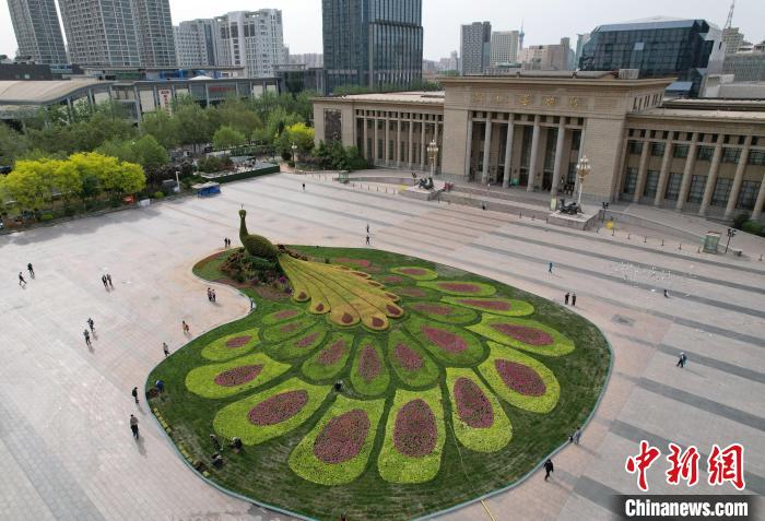 圖為航拍花壇。(無人機照片) 翟羽佳 攝