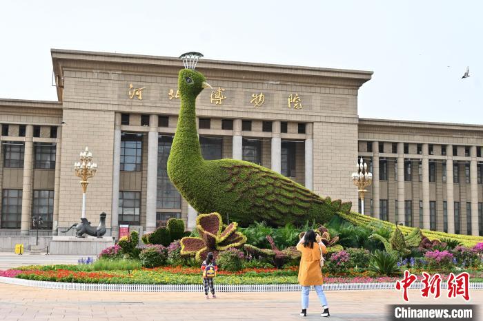 圖為游客在花壇前拍照打卡。　翟羽佳 攝