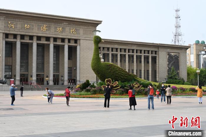 圖為游客在花壇前拍照打卡?！〉杂鸺?攝