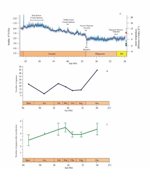 早始新世至早漸新世東亞嚙齒類屬級(jí)多樣性變化。　中科院古脊椎所 供圖
