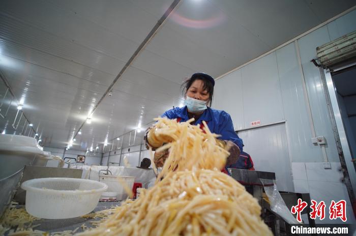 圖為一名工人正在處理切成條狀后的酸筍?！№f國政 攝