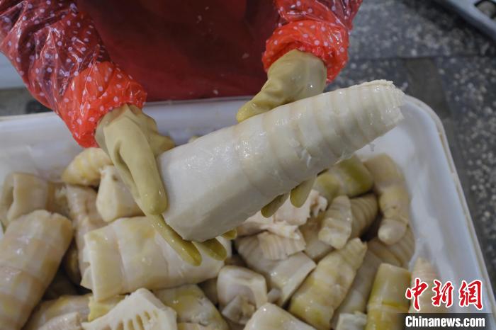 圖為整根腌制后撈出的酸筍?！⒖÷?攝