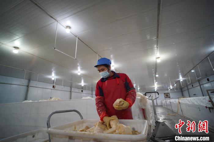 圖為一名工人正在查看酸筍腌制效果?！№f國政 攝