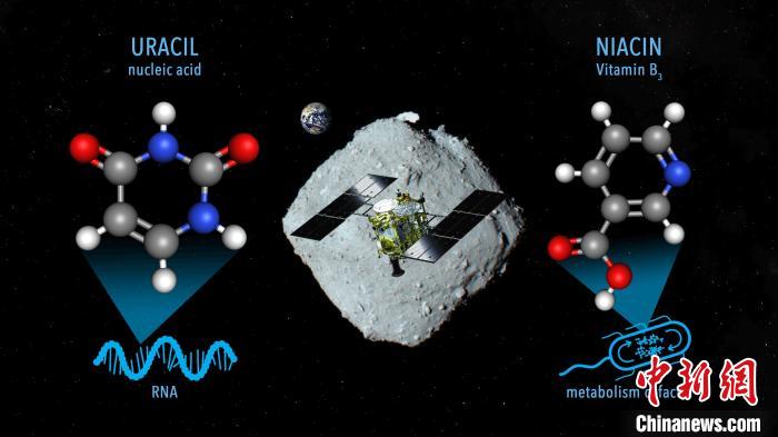 國際最新研究稱，近地小行星“龍宮”上發(fā)現(xiàn)尿嘧啶等核酸堿基