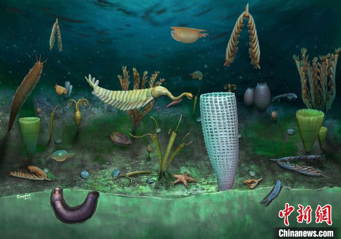 Castle Bank動物群藝術(shù)復(fù)原圖(Yang Dinghua繪制)。　施普林格·自然 供圖