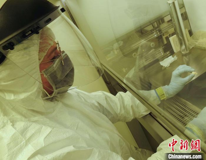 Elena Essel在凈室中處理鹿牙墜飾(圖片來(lái)自馬克斯·普朗克演化人類學(xué)研究所)?！∈┢樟指瘛ぷ匀?供圖