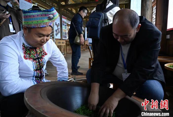 東盟國(guó)家媒體記者了解制茶工藝。　張卓 攝