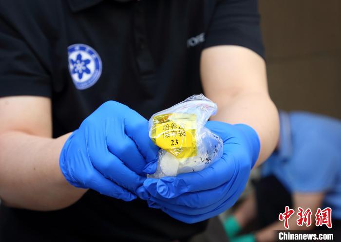 隨神舟十五號(hào)返回地面的空間科學(xué)實(shí)驗(yàn)樣品?！≈锌圃嚎臻g應(yīng)用中心 供圖