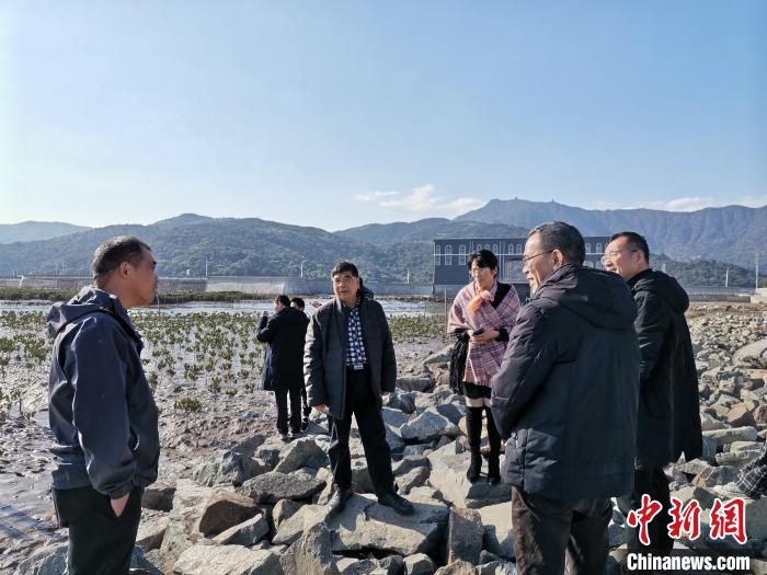 浙江海洋生態(tài)觀察：智慧大腦如何解鎖藍(lán)色發(fā)展密碼？