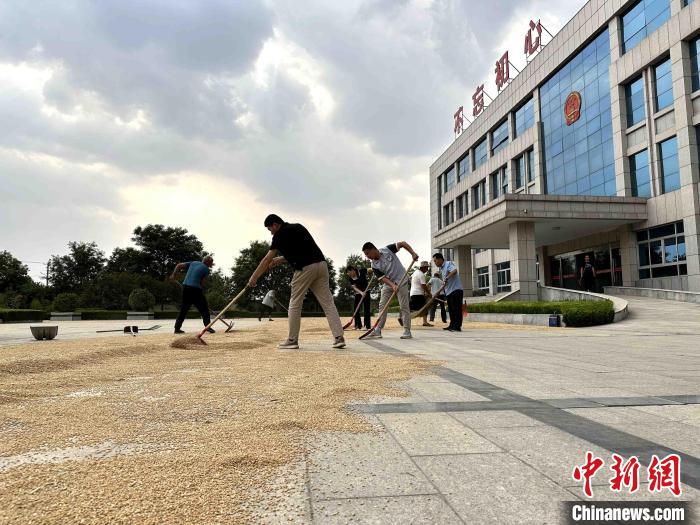 平原縣組織志愿者幫助農(nóng)民晾曬小麥?！垈?攝