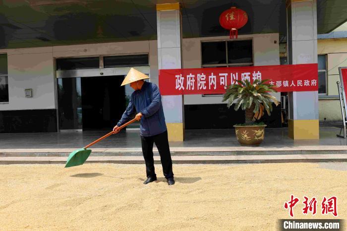 村民在棗莊市嶧城區(qū)古邵鎮(zhèn)政府大院內(nèi)晾曬糧食?！『?　攝
