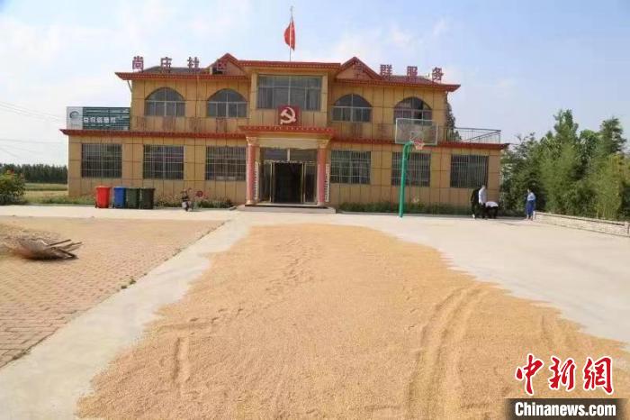 農(nóng)民在邳莊鎮(zhèn)尚莊村黨群服務(wù)中心大院里曬糧?！≠Z萌 攝