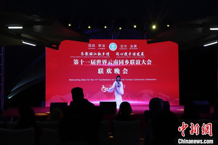 圖為第十一屆世界云南同鄉(xiāng)聯(lián)誼大會舉辦聯(lián)歡晚會。　崔永江 攝