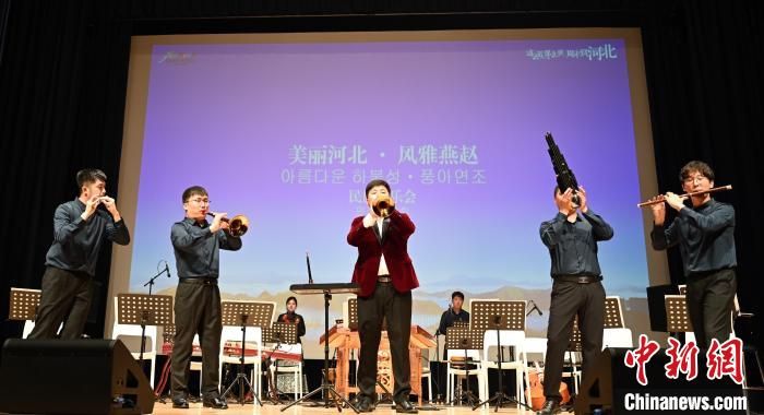 圖為音樂(lè)會(huì)現(xiàn)場(chǎng)?！∈谞栔袊?guó)文化中心供圖