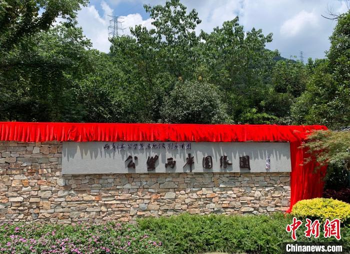 “公望兩岸圓緣園”開園?！」溻?攝