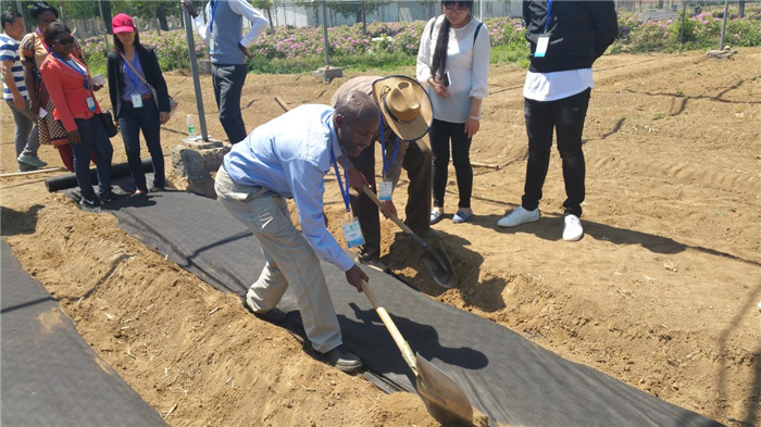 孫釗現場指導農民耕種。受訪者供圖
