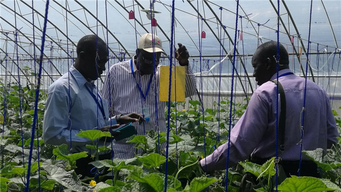 孫釗向當地農戶講解粘蟲板工作原理。受訪者供圖