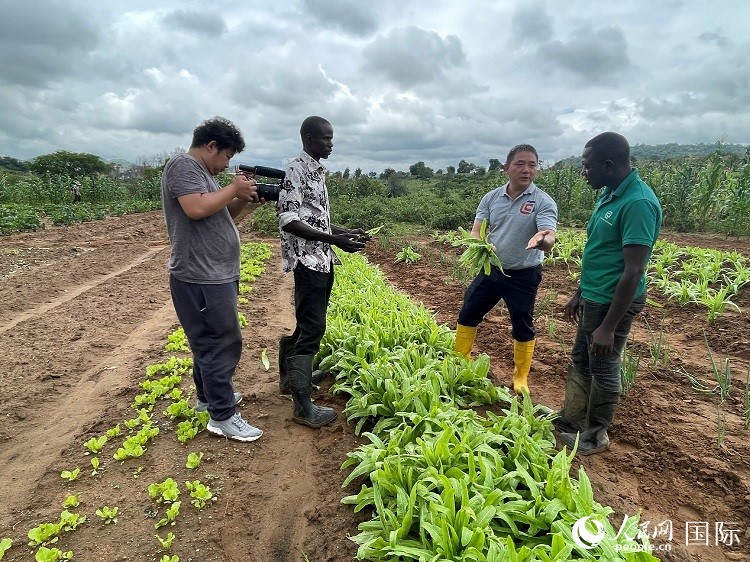 人民網(wǎng)記者走進(jìn)尼日利亞農(nóng)業(yè)技術(shù)示范中心。人民網(wǎng)記者 趙艷紅攝