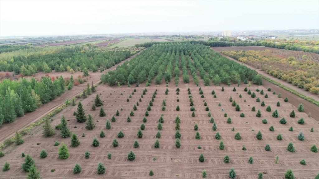 這是2023年9月11日在哈薩克斯坦首都阿斯塔納拍攝的一處植物種質資源苗圃（無人機照片）。新華社發(fā)（法爾哈特·圖克諾夫 攝）