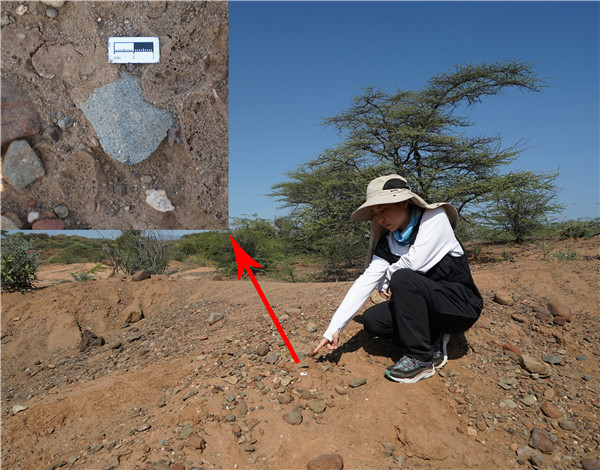 地層中的勒瓦婁哇石片。中肯聯(lián)合考古隊(duì)供圖