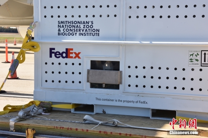 當(dāng)?shù)貢r(shí)間11月8日，美國華盛頓史密森學(xué)會國家動(dòng)物園的大熊貓“美香”“添添”和它們的幼崽“小奇跡”乘坐的專機(jī)從華盛頓杜勒斯國際機(jī)場起飛前往中國成都。圖為裝有大熊貓的特制“旅行箱”。<a target='_blank' href='/'><p  align=