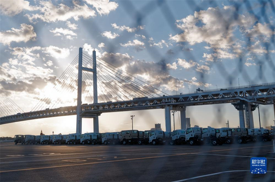 這是11月14日在日本橫濱拍攝的進出口汽車集散場地。新華社記者 張笑宇 攝