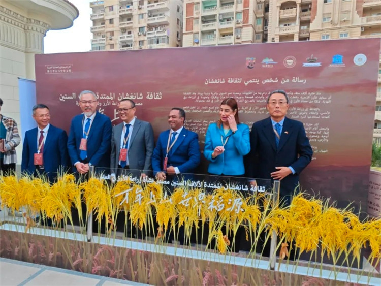 圖為現(xiàn)場(chǎng)嘉賓為特展啟幕。開羅中國(guó)文化中心供圖