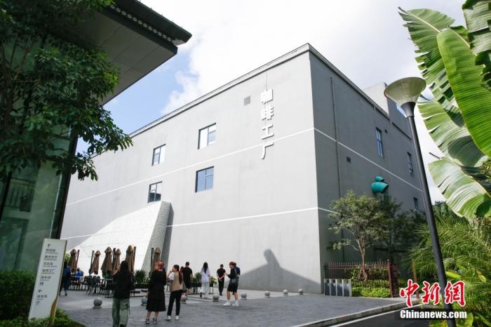 圖為采訪團一行參觀咖啡工廠。 曹淼欣 攝