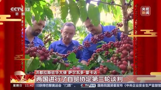 飽含美好祝愿與期待 洪都拉斯駐華大使：期待自己在中國(guó)度過的第一個(gè)春節(jié)