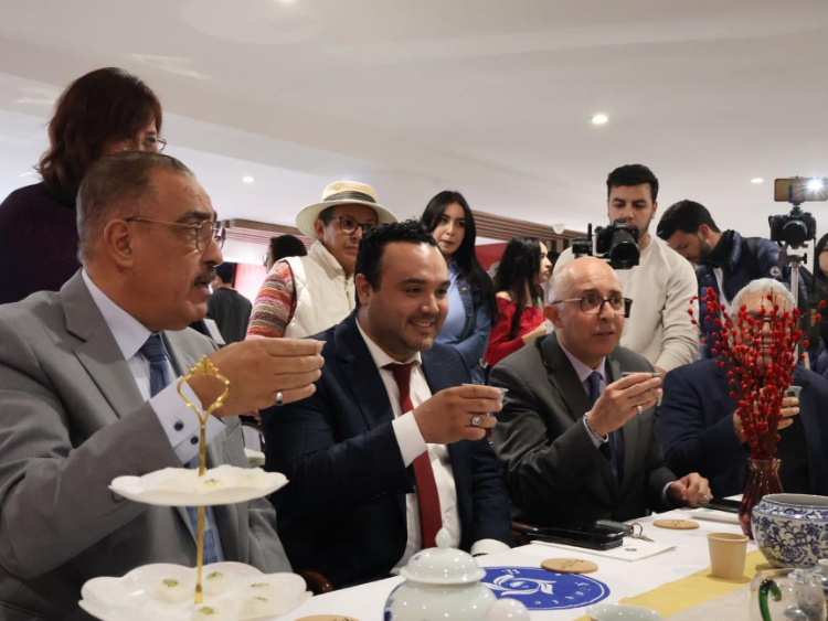 觀眾興致勃勃地體驗茶藝。陳芷珊攝