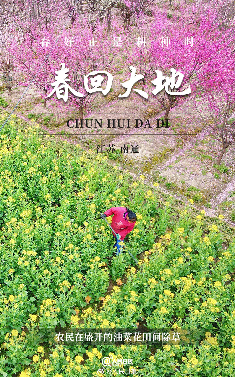 生機盎然！用課本封面打開春耕畫卷