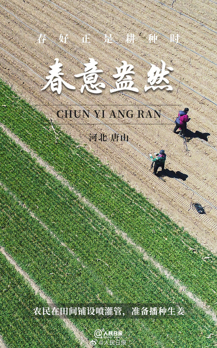 生機盎然！用課本封面打開春耕畫卷