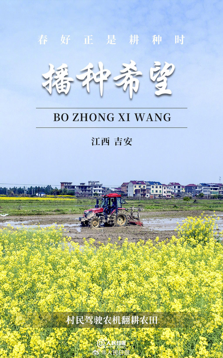 生機盎然！用課本封面打開春耕畫卷