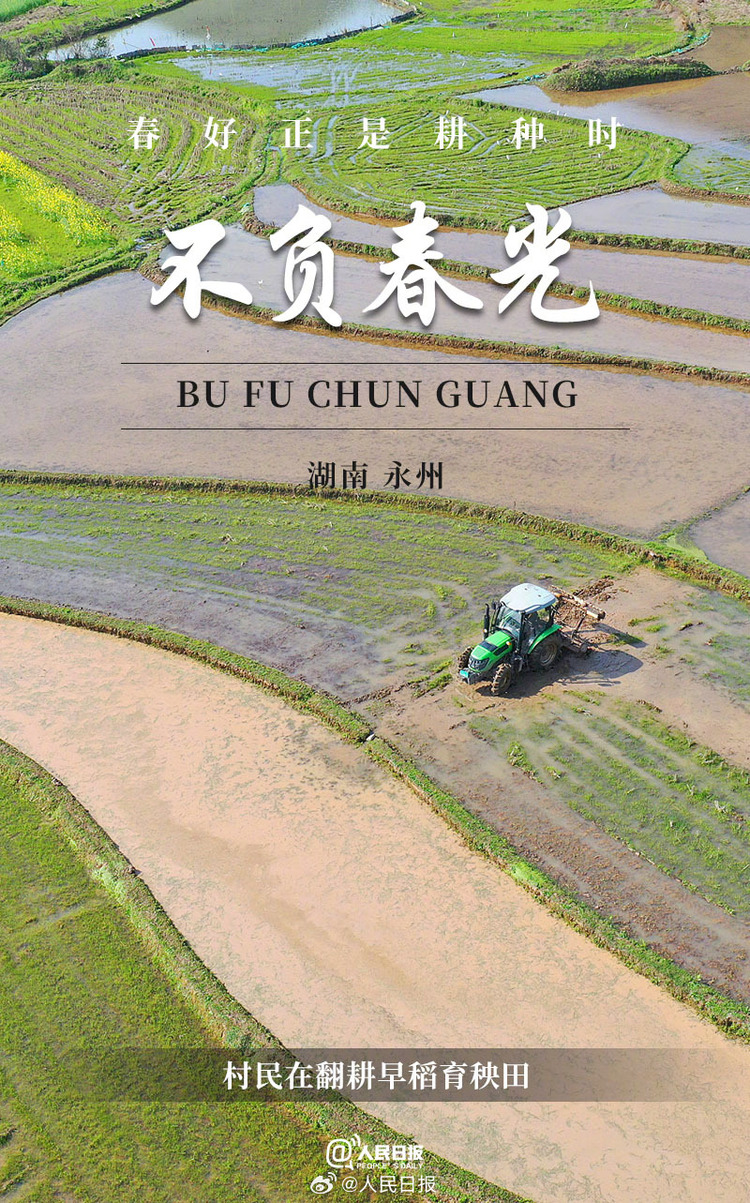 生機盎然！用課本封面打開春耕畫卷