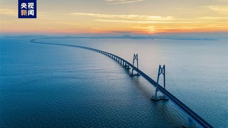 灣區(qū)速評(píng)丨多項(xiàng)數(shù)據(jù)破紀(jì)錄 人才何以在灣區(qū)成潮？