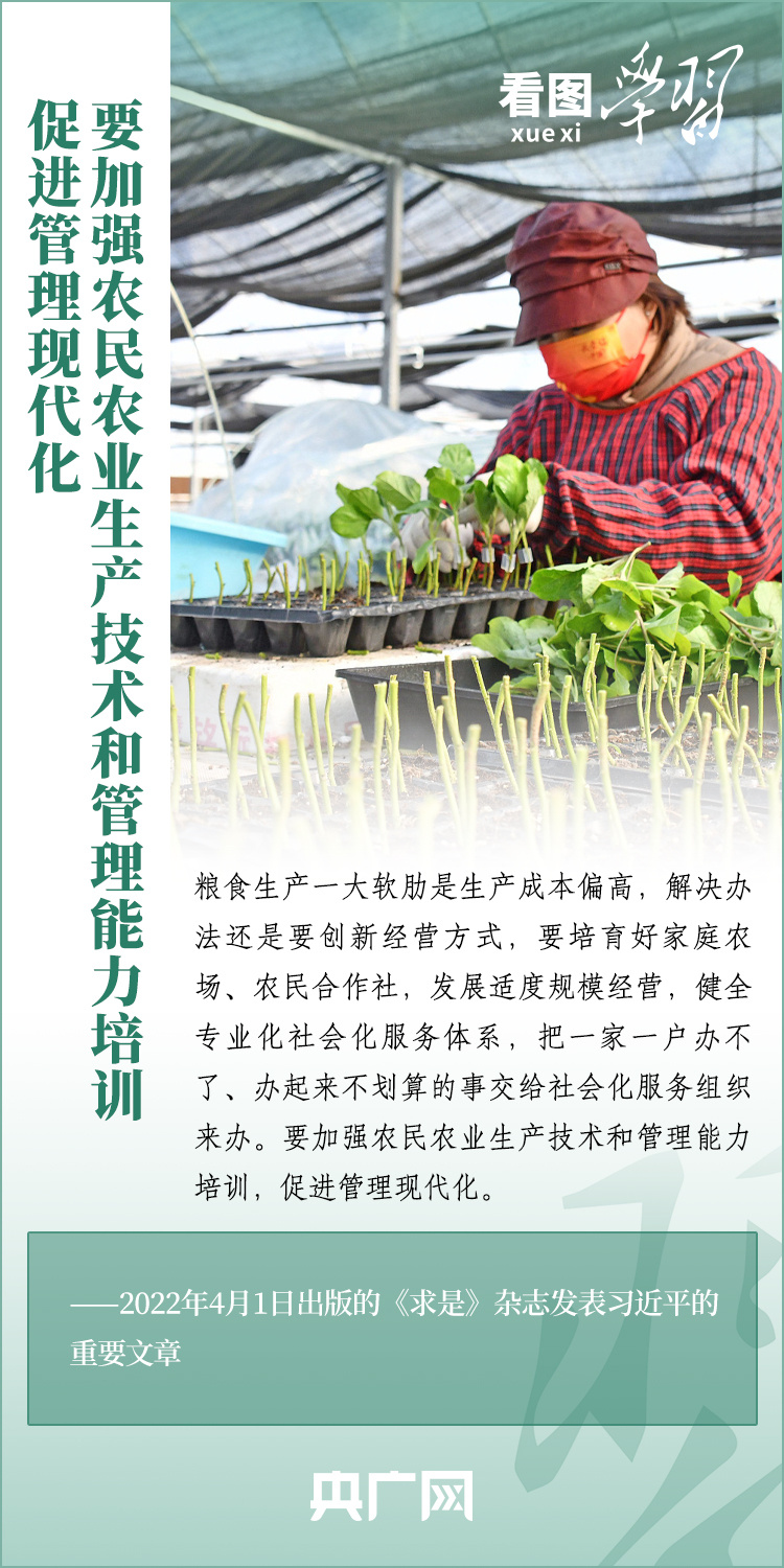 看圖學習丨推廣良田、良種、良法、良機 給農業(yè)現(xiàn)代化插上科技的翅膀