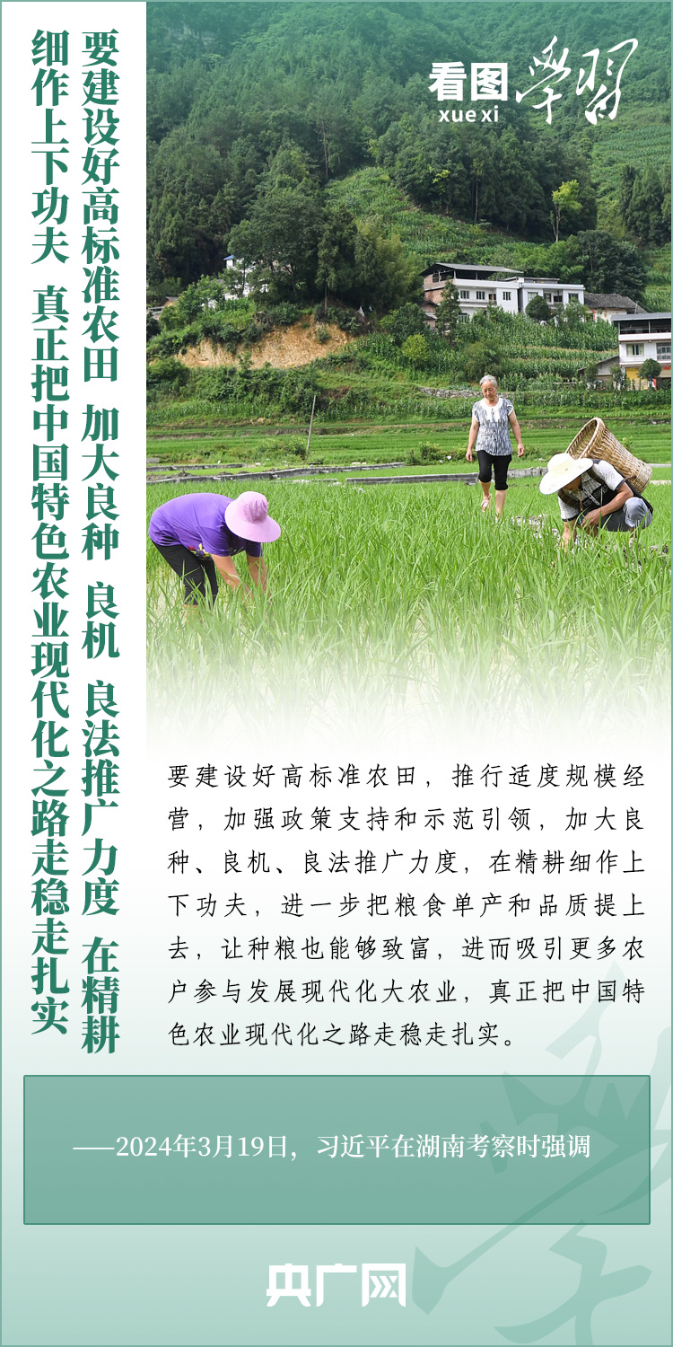看圖學習丨推廣良田、良種、良法、良機 給農業(yè)現(xiàn)代化插上科技的翅膀